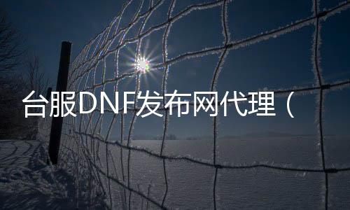 台服DNF发布网代理（dnf台服代码获取工具）