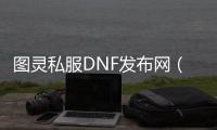 图灵私服DNF发布网（图灵有什么称号）