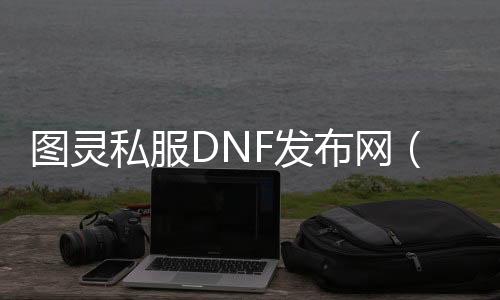 图灵私服DNF发布网（图灵有什么称号）