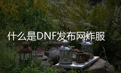 什么是DNF发布网炸服