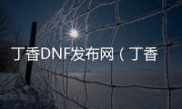 丁香DNF发布网（丁香时装效果图）