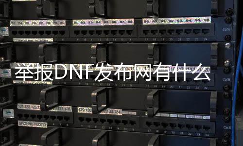 举报DNF发布网有什么办法（DNF发布网举报按什么键）