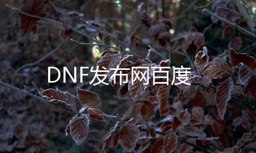 DNF发布网百度