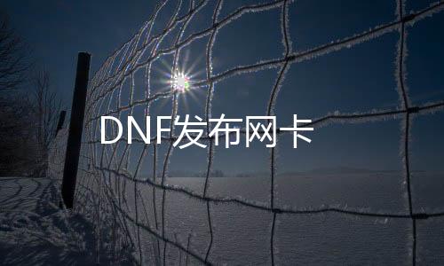 DNF发布网卡