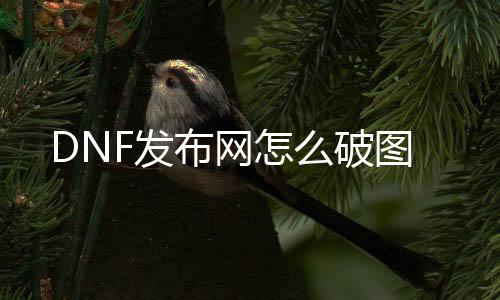 DNF发布网怎么破图