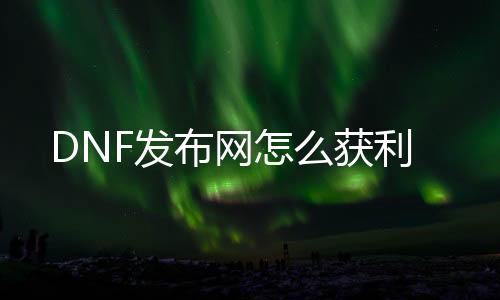 DNF发布网怎么获利