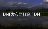 DNF发布网打金（DNF发布网勇士打金）