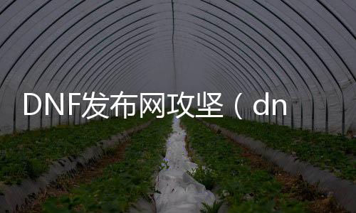 DNF发布网攻坚（dnf攻坚队列表）