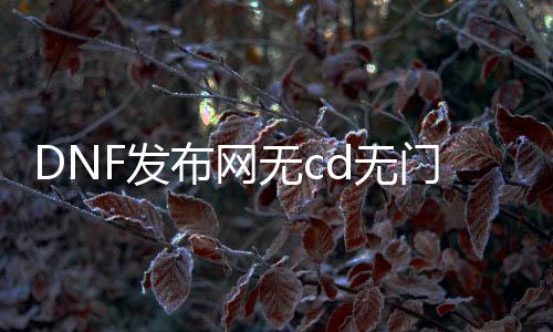 DNF发布网无cd无门票