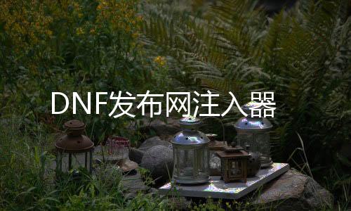 DNF发布网注入器