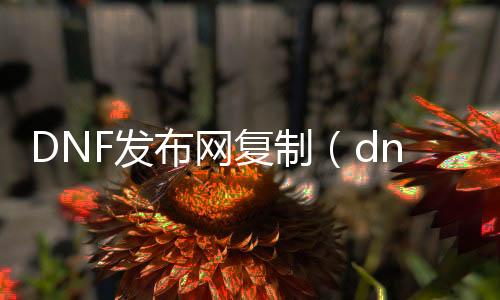 DNF发布网复制（dnf复制装备工具稳吗）