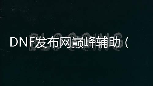 DNF发布网巅峰辅助（2021年最新dnf辅助官网）