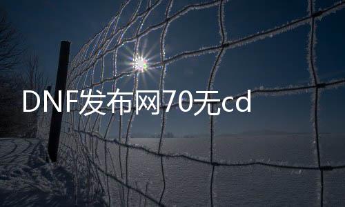 DNF发布网70无cd私服（DNF发布网70版本官网）