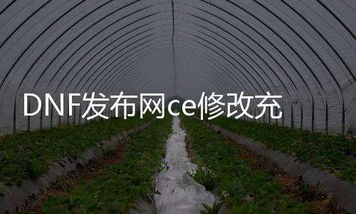 DNF发布网ce修改充值（DNF发布网修改数据）