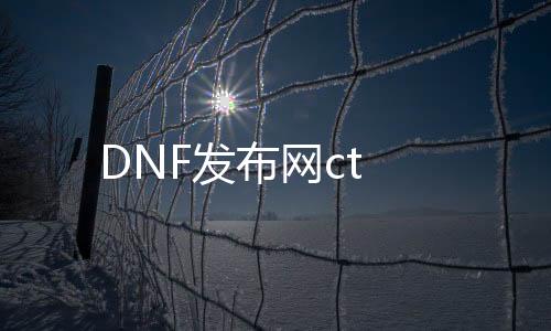 DNF发布网ct