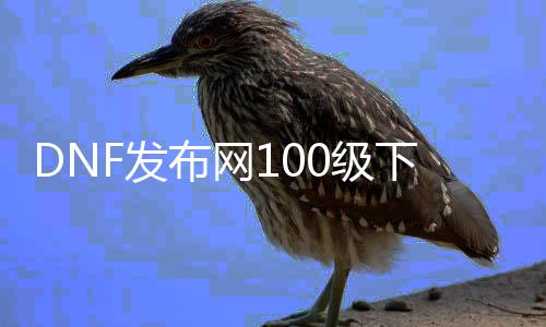 DNF发布网100级下载