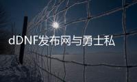 dDNF发布网与勇士私服