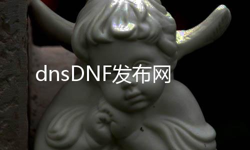 dnsDNF发布网
