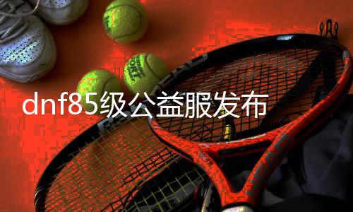 dnf85级公益服发布网怎么玩,免费领取dnf85级公益服发布网账号