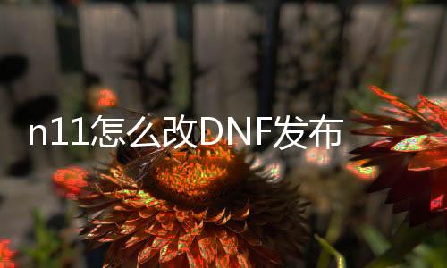 n11怎么改DNF发布网（极简DNF发布网修改教程）